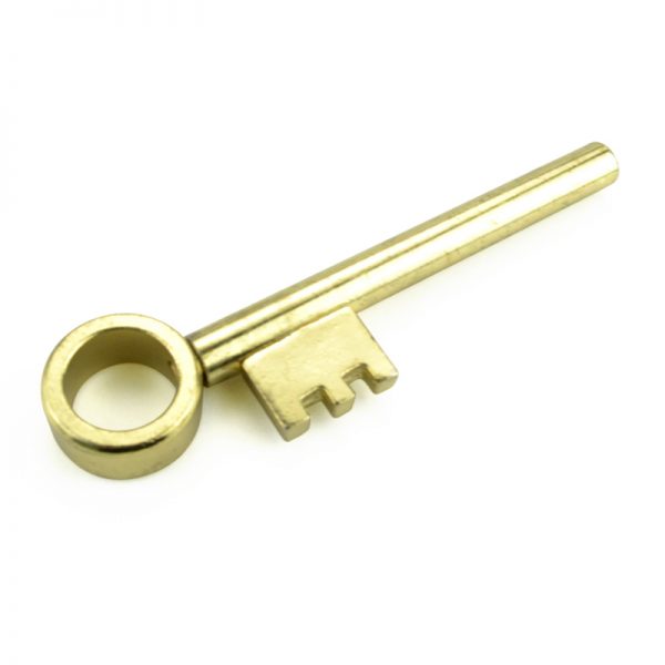 Moving Golden Key-4234