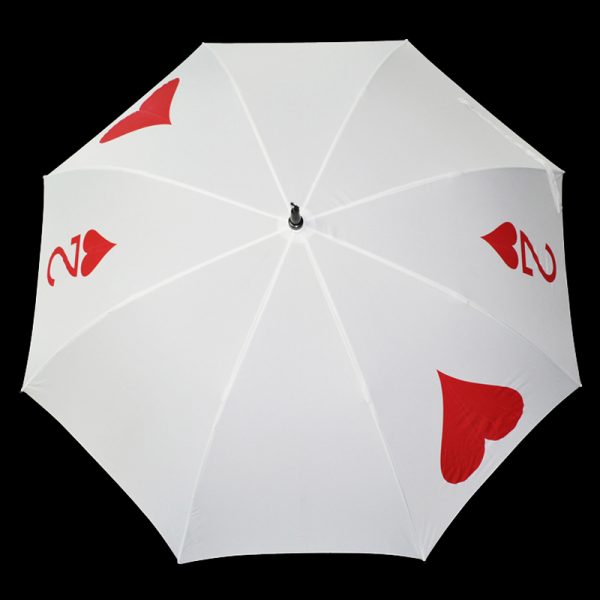 Umbrella thru Cards-3948