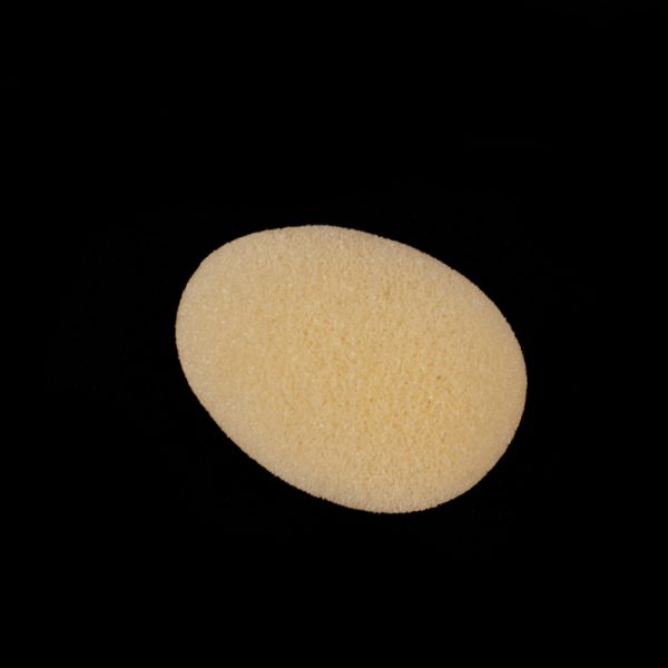 Sponge Egg-4745