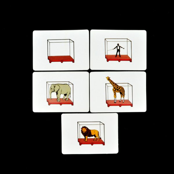 Animals Cards-3857